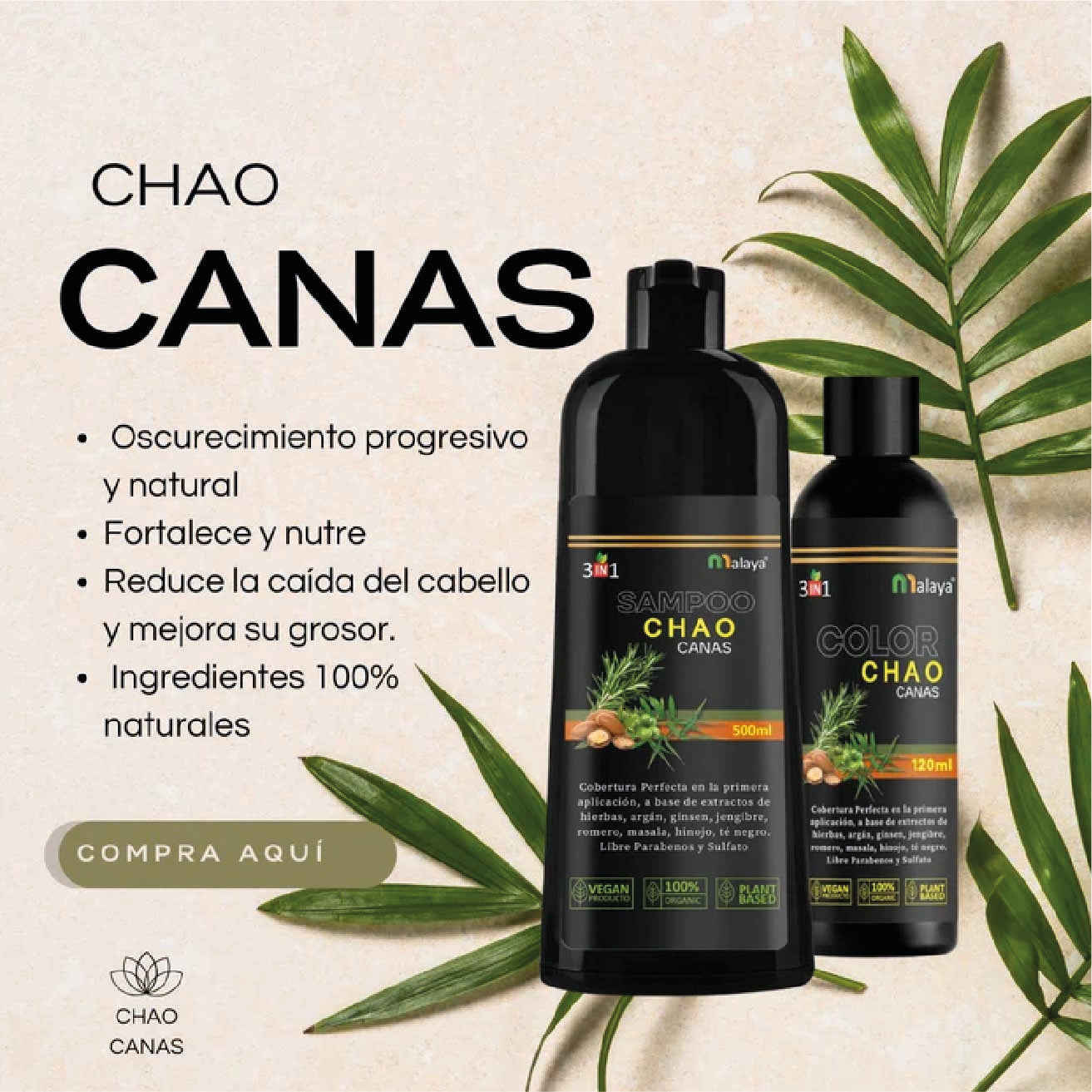 SHAMPOO CHAO CANAS