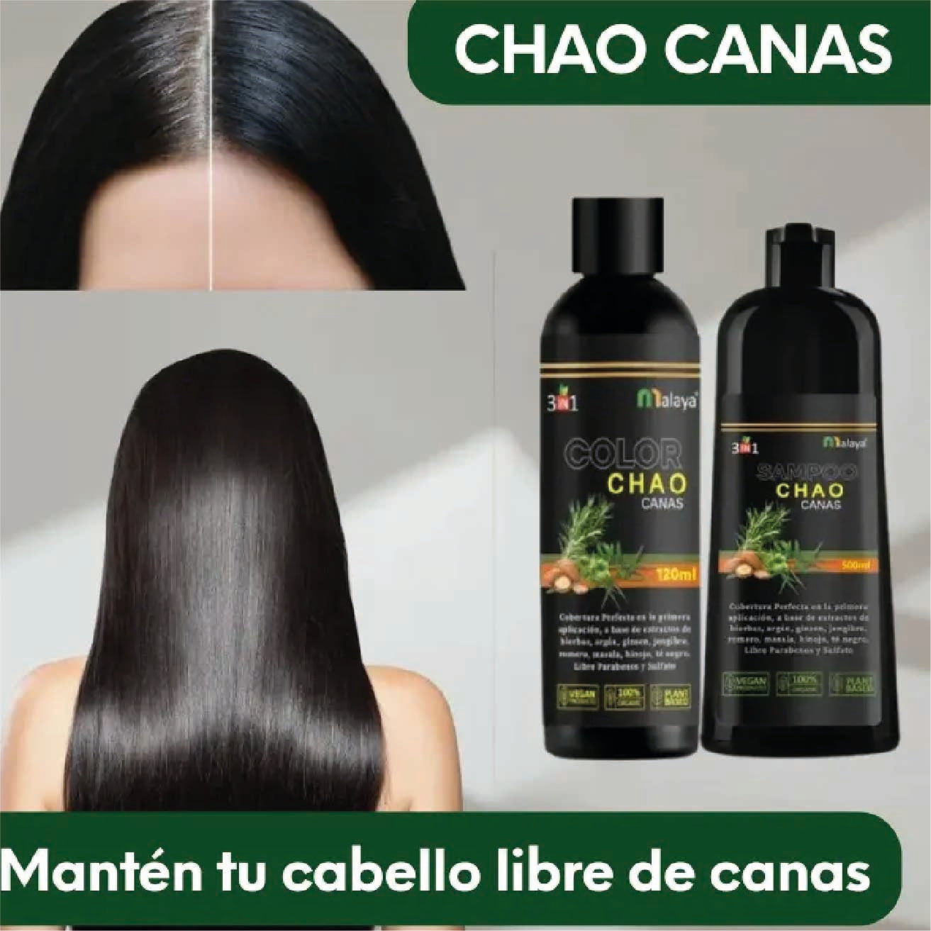 SHAMPOO CHAO CANAS