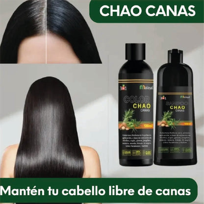 SHAMPOO CHAO CANAS